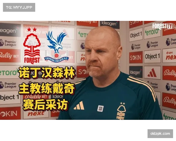 诺丁汉森林解雇主帅肖恩戴奇 英超一月内四名教练下课